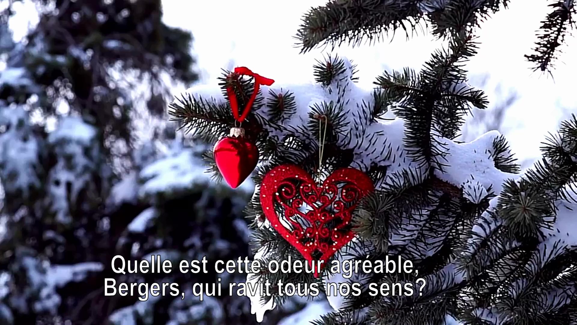 Quelle Est Cette Odeur